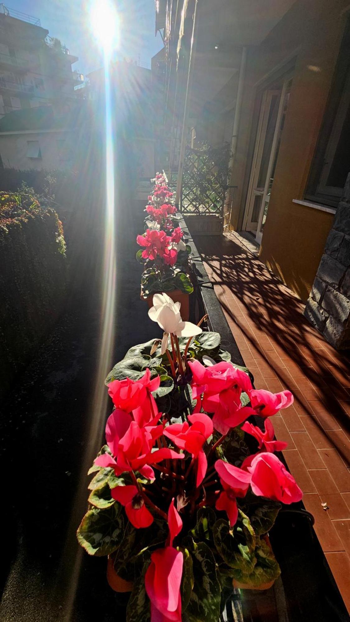Appartamento Casa Con Giardino Vicino Al Mare Rapallo Esterno foto